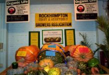 Art of the giant pumpkin