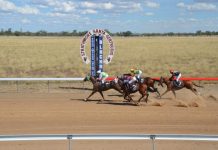 New stars emerge from Blackall races