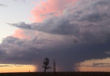 Longreach producers regenerating the Rangelands