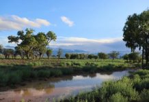 Reminiscing about the Ghosts of Easters Past and Chocolate