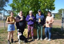 Sauerkraut making at the garden