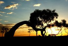 Western reflections, Part 1