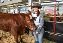 Beef up for forum