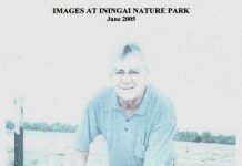 Looking back on Iningai Park