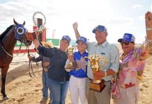 Todd Austin says luck behind Birdsville history