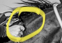 Possible devasting affects to CW racing after jigger find