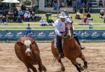 A first at this year’s campdraft