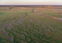 Lake Eyre basin under threat