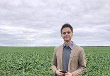 Record crops and heartbreak