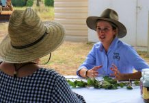 Dial in to access Rural Aid’s new counselling service