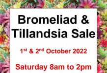 Why not try Bromeliabs