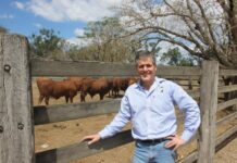 State Government knocks back Basin plan