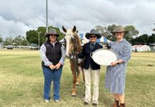 Blackall Show results