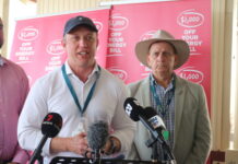 Basin plan is ‘bad idea’: Premier