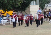 Show leaves locals in awe