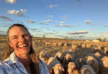 Sheep, wool and community dedication earns Jodi coveted medal