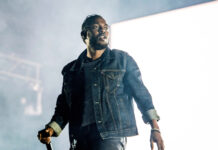 On This Day: take your cat to work day