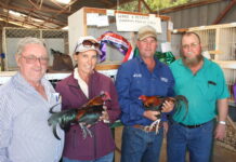 Show marvels in Barcy