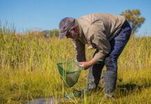 Key protection for reserve