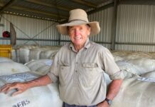 Parliament passes legislation to ban live sheep exports by sea