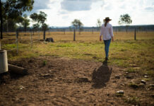 Wellbeing is for everyone, everyday