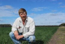 Muddy water coming clear