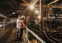 Agritourism masterclasses launched in the West