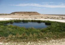 Twist in Basin battle