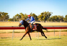 Community Events Billboard