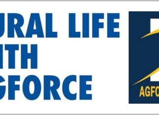 A moment to celebrate: the North’s Grain Export triumph is no small feat