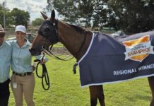 Treasured Lad on the way