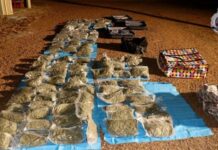 Half a million dollars’ worth of cannabis seized in vehicle intercept, Winton