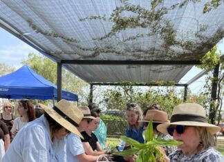 Wellness Fest in the West