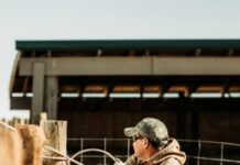 Rural productivity tipped to drop due to labour shortages