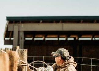 Rural productivity tipped to drop due to labour shortages