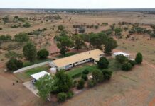 Talented staff awarded for building better health in the bush