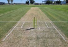 Cricket set for return
