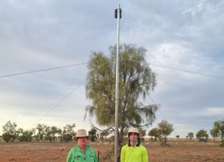 Waddy-ya know? Sam’s skills measure up