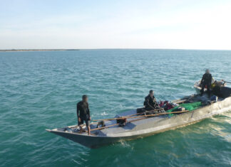 Why biosecurity matters now more than ever