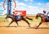 Blackall hosts first meeting of Central West racing season