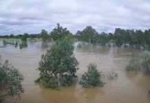 Winton residents on flood watch…. again