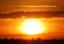 Nature’s living art gallery