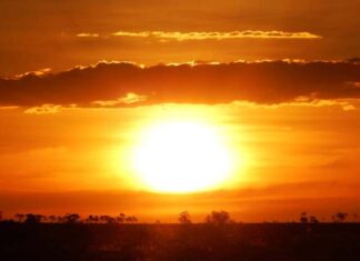 Nature’s living art gallery