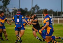 Brumbies set for date with Devils