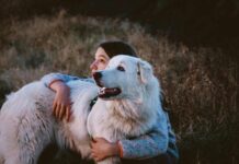 On This Day: National Hug Your Dog Day!