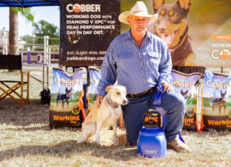 Alpha Show a success