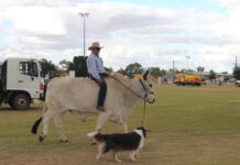 Busy May in Longreach