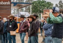 Expo returns in 2026